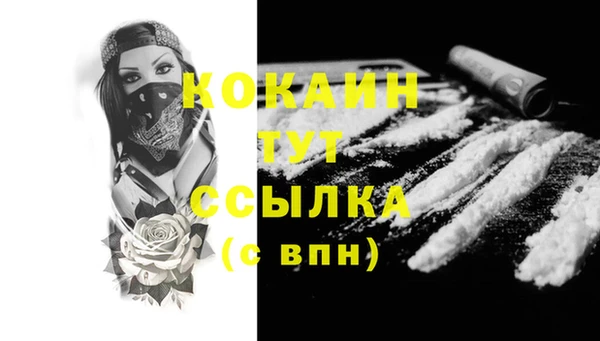 spice Богданович