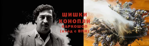 spice Богданович