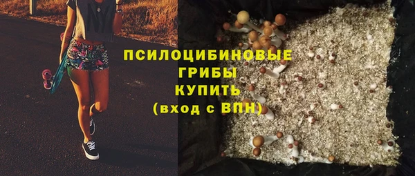 бошки Богородск