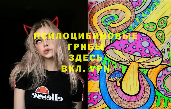 МДПВ Белокуриха