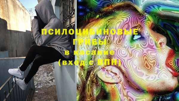 spice Богданович