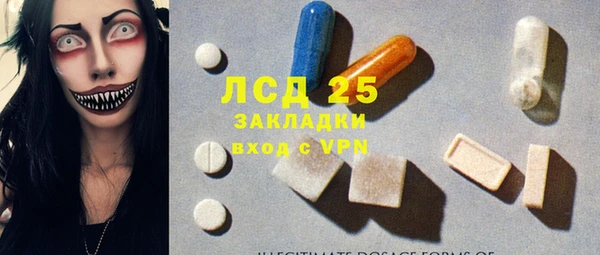 spice Богданович