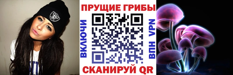 omg вход  Сковородино  Галлюциногенные грибы мицелий 
